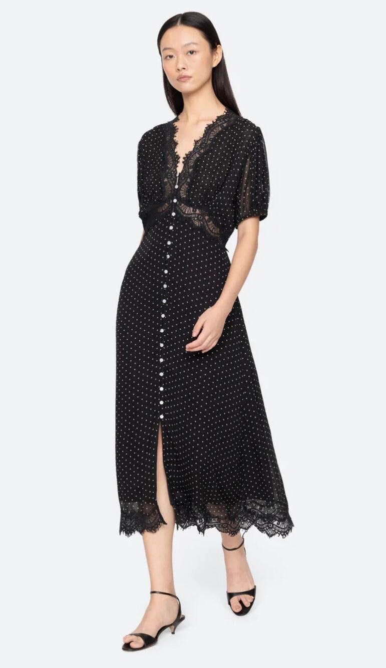 Sea New York Melody Polka Dot Lace Semi Sheer Romantic Midi Slip Dress - Size 4